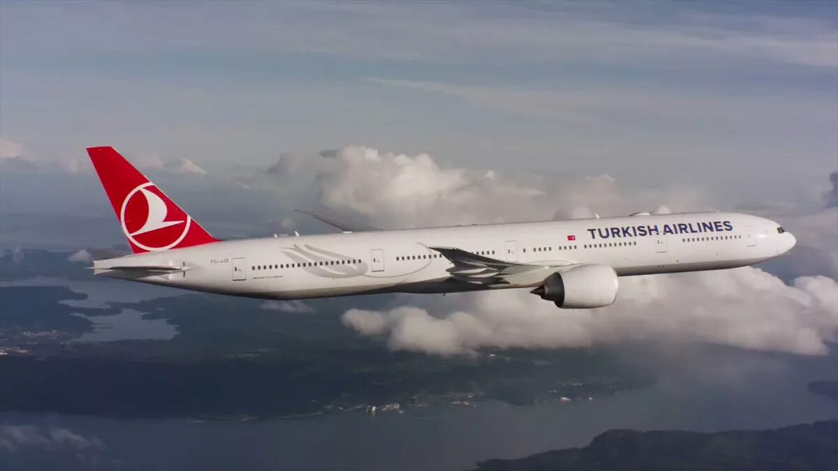 Turkish Airlines ТК 3655. Место самолета 29k Turkish Airlines. Go Turkish Airlines. Носки Туркиш Эйрлайнс.