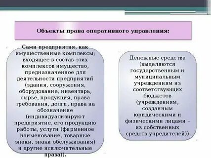 К органам оперативного управления относятся