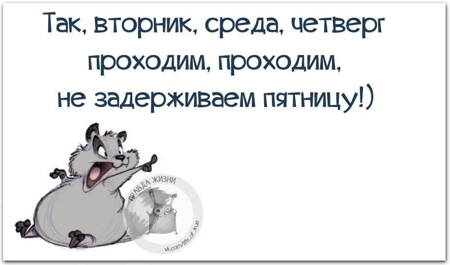Утро работа среда