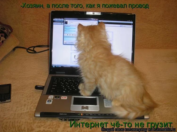 Уставший программист. Запрет компьютера. Нет с компа. Компьютер и человек. Знак компьютер запрещен.