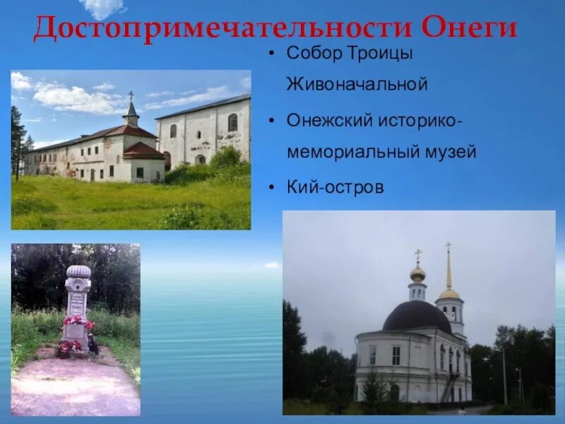 Численность онеги