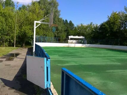 Спорт коньково