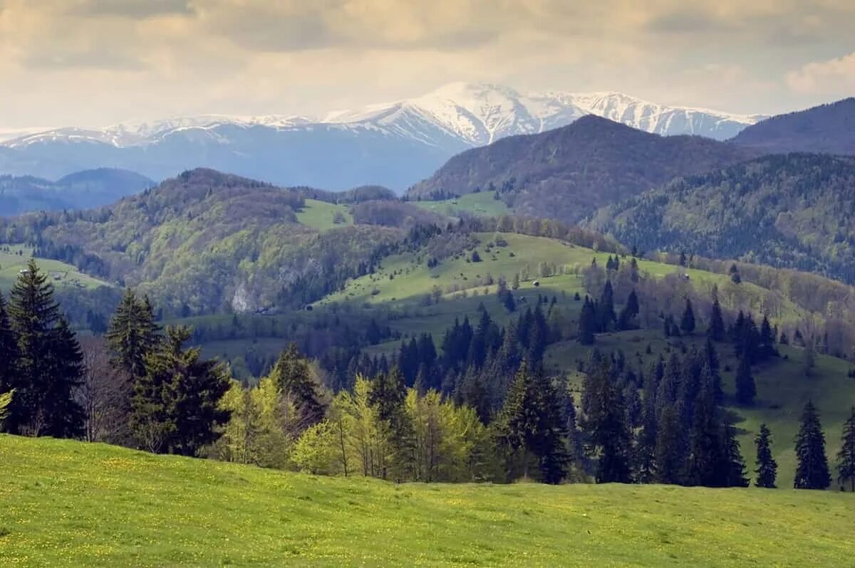 Карпаты какое государство. Карпатские горы Румыния. Трансильвания горы Карпаты. Природа Румынии Карпатские горы. Восточные Карпаты Румыния.