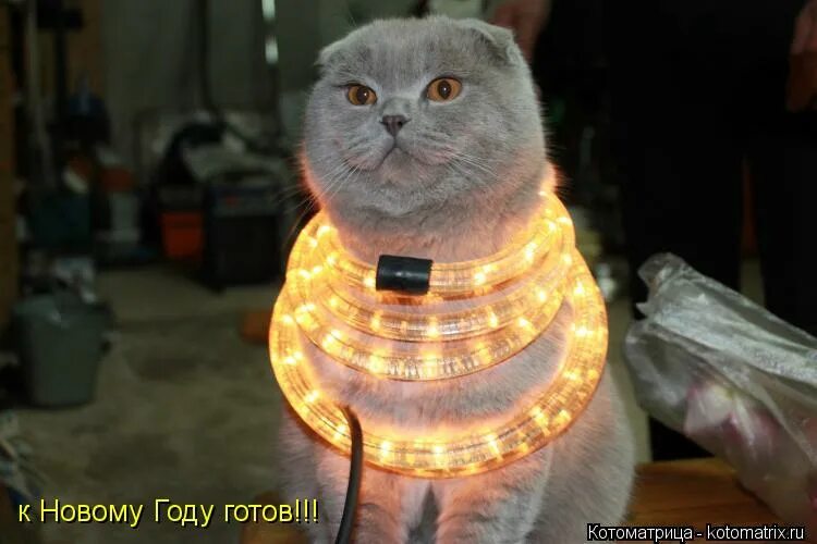 Мем с новым годом пошел нафиг Happy New Year went to hell" it was one of the most memorable jokes of the zer