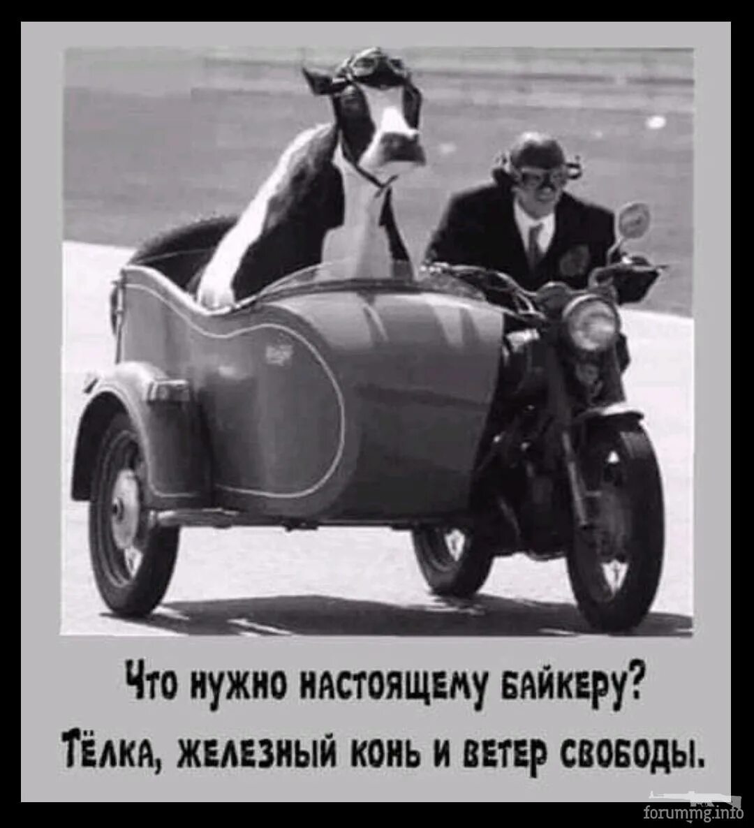Колхоз приколы. Корова на мотоцикле. колхоз демотиваторы. колхоз прикол. мотоцикл урал приколы.