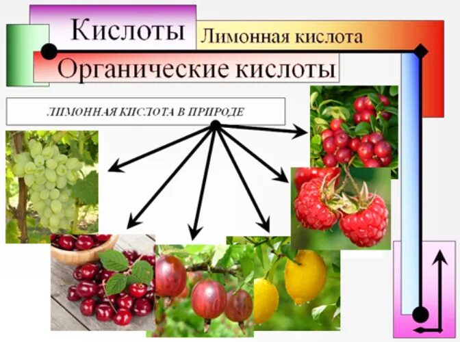 Лимонная кислота в большом количестве содержится. Лимонная кислота где содержится. в каких продуктах содержится лимонная кислота. продукты содержащие лимонную кислоту. содержание лимонной кислоты в продуктах.