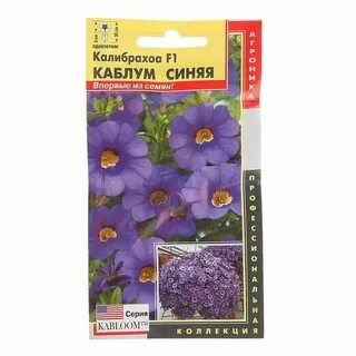 Калибрахоа семена
