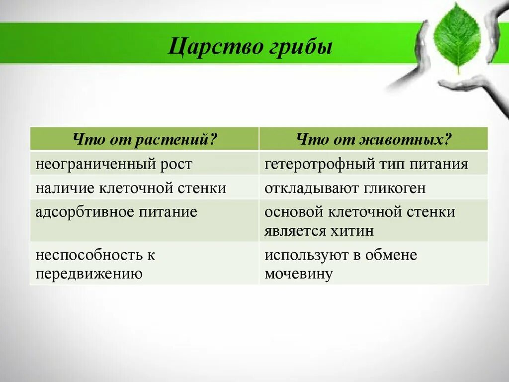 Значение животных в жизни человека положительное и отрицательное. Роль растений в природе и для человека. Роль растений в жизни человека. Значение насекомых в жизни человека. Положительная и отрицательная роль запасов.