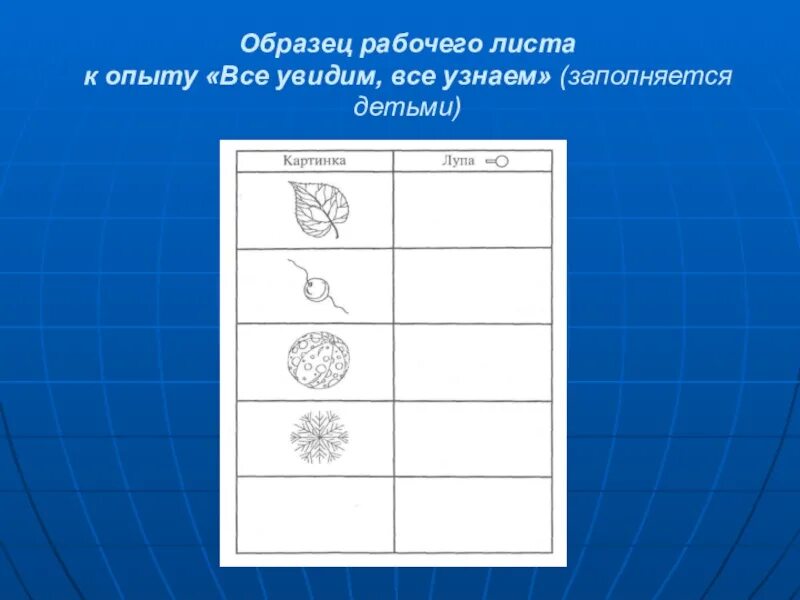 Рабочие листы символы