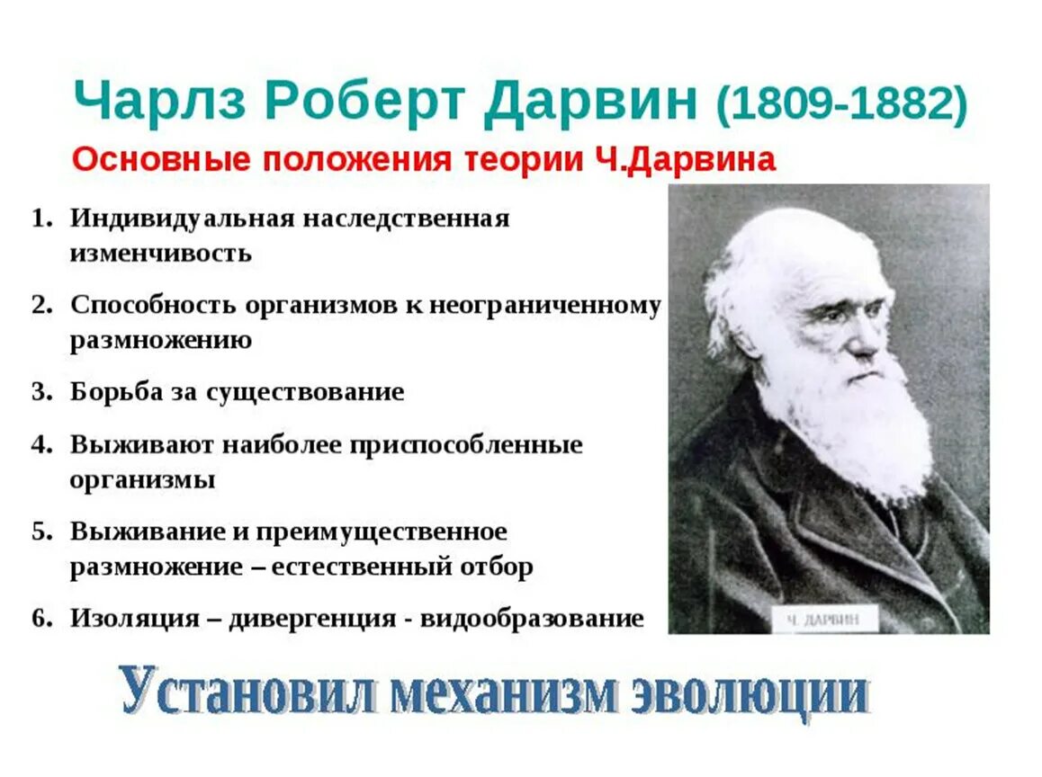 Дарвин магазин логотип. Дарвин экология. Основной комплекс дарвин. Основной комплекс дарвин. Механизм эволюции по дарвину.