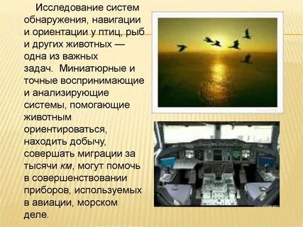 Исследование систем животного