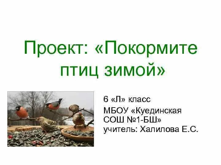 Проект покормите птиц зимой. Акция покормите птиц зимой. Холодно и голодно птицам зимой. Покормите птиц зимой. Накорми зимующих птиц.