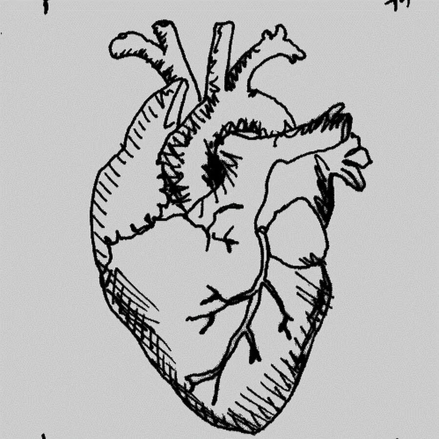 Крестное сердце. Сердце рисунок. Нарисовать сердце. Сердце эскиз.