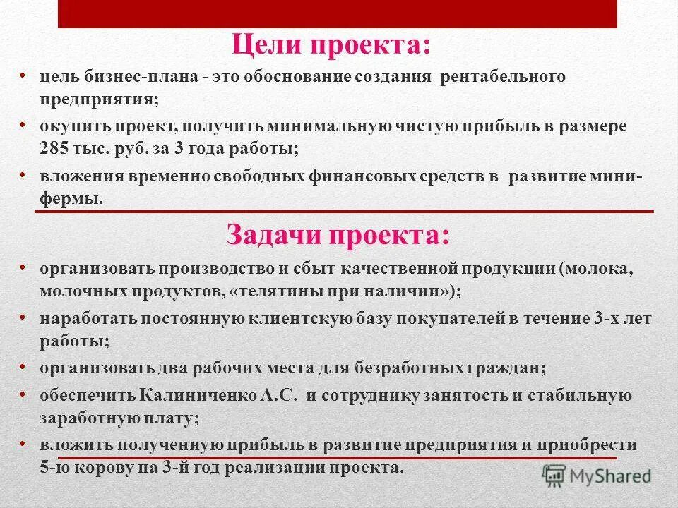 Что писать в цели проекта