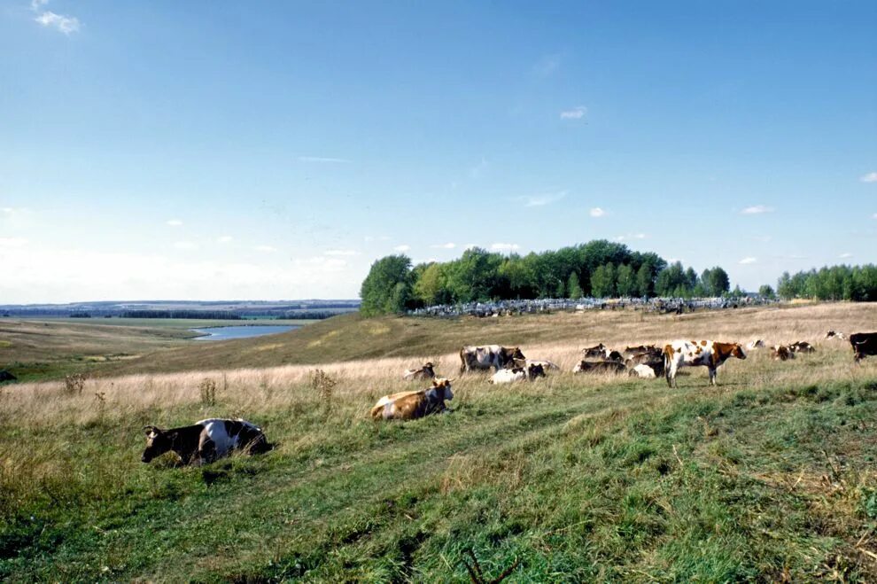 Пикшень нижегородская область. Село пермеево. Погода в больших полянах большеболдинского. Нижегородская область, большеболдинский р-н, с. Пикшень нижегородская область.
