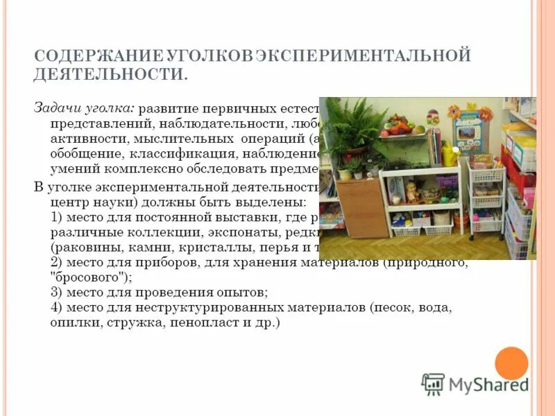 Комнатные растения в уголке природы в младшей группе. Содержание уголка природы в средней группе. Уголок растений в детском саду. Содержание уголка. Содержание уголка.