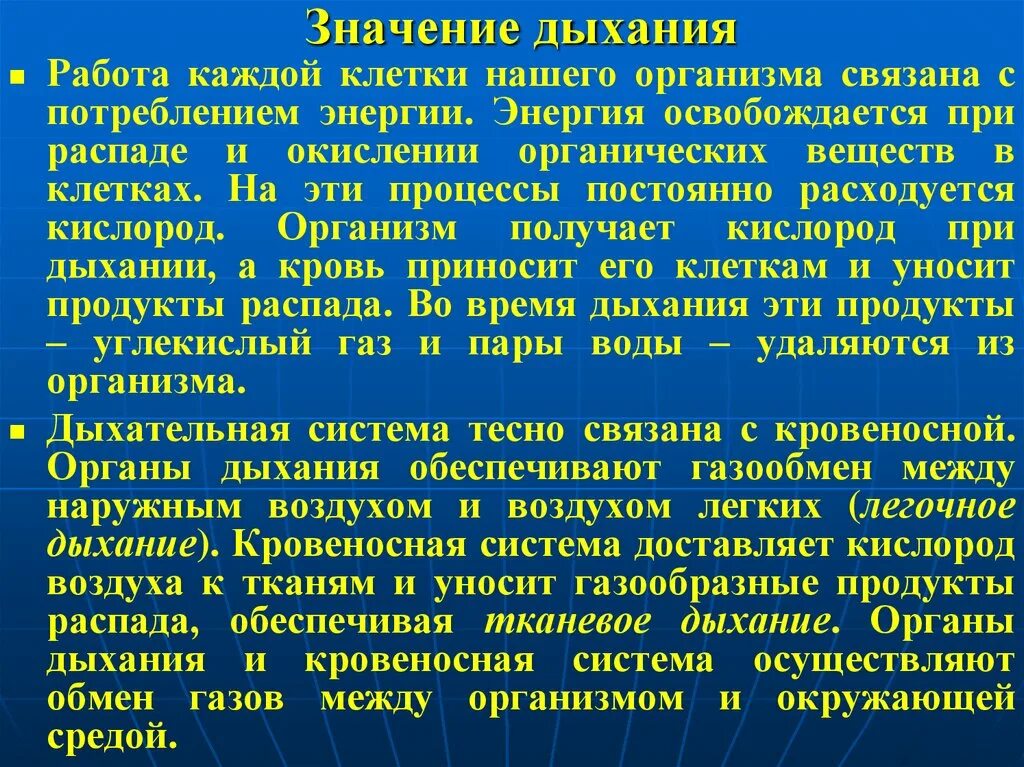 Значение работы для человека. Значение дыхания. Значение дыхательной системы. Важность дыхательной системы. Значение системы органов дыхания.