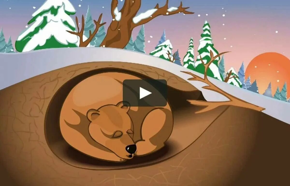 Берлога медведя. Спящий медведь в берлоге. Медведь в берлоге рисунок. Рисование медведь в берлоге. Спящий мишка в берлоге
