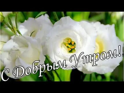 Утро 29 сентября