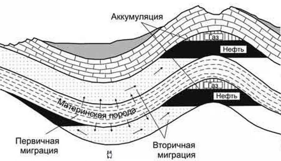Что такое аккумуляция. Первичная и вторичная миграция нефти и газа. схема залегания пластовых вод. первичная миграция углеводородов. аккумуляция геология схема.