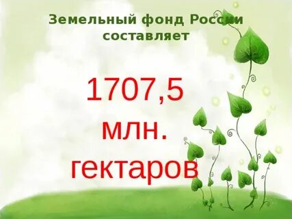 5 млн га