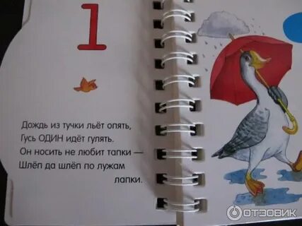 Шаг в цифру