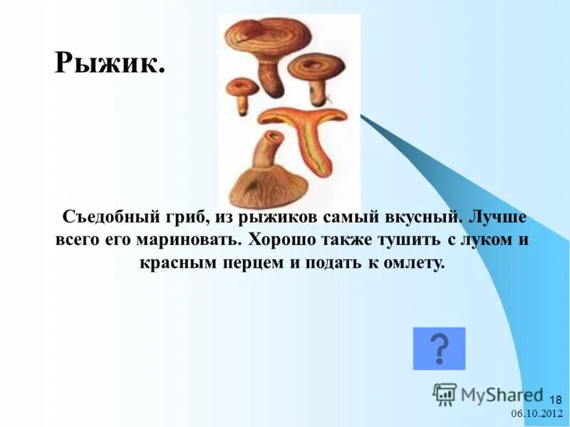 Гриб Рыжик строение. Строение Рыжика. Гриб Рыжик описание. Рыжик особенности строения.