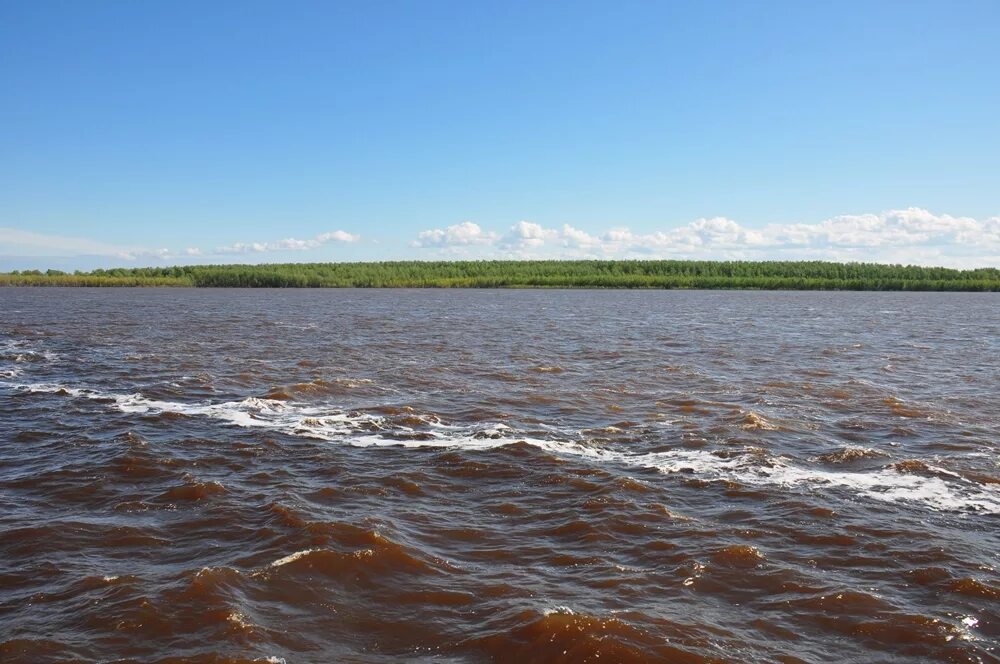 реки россии иртыш. река обь иртыш. река обь и иртыш. река иртыш тобольск. реки обь иртыш тобол.