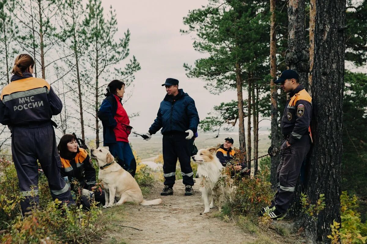 Собаки спасатели породы лабрадор. Собаки спасатели МЧС России. Поисково-спасательная служба собак. Поисковая собака в горах.