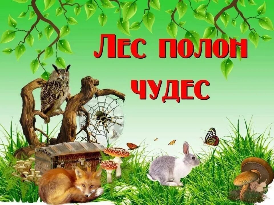 Чудо полностью