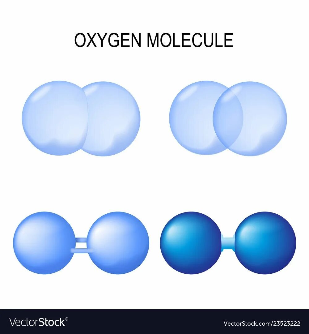 Oxygen molecule