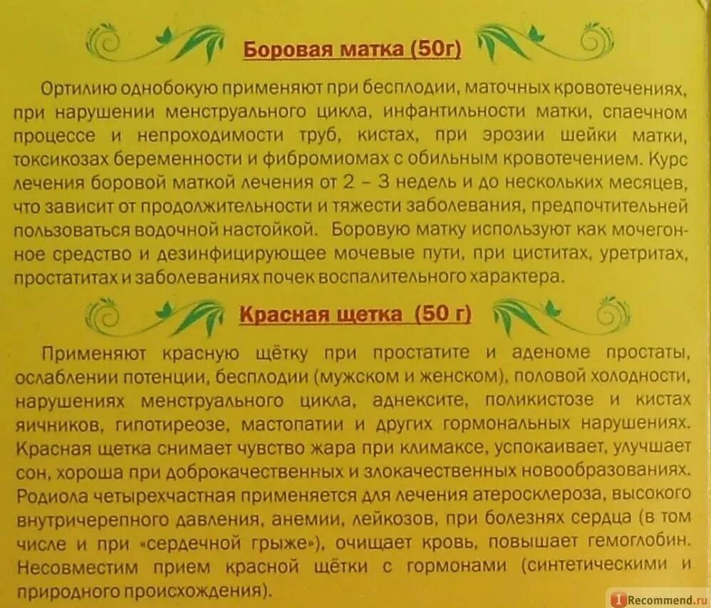 Боровая матка и красная щетка. Как пить боровую матку. Красная щётка и Боровая матка при полипе. Таблетки с Боровой маткой и красной щеткой. Как пить боровую матку и красную щетку