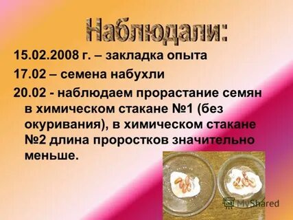 Опыт 17