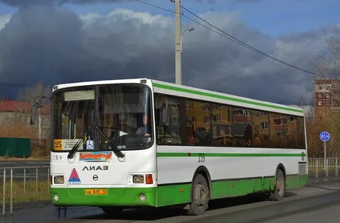 Автобус 259 спб