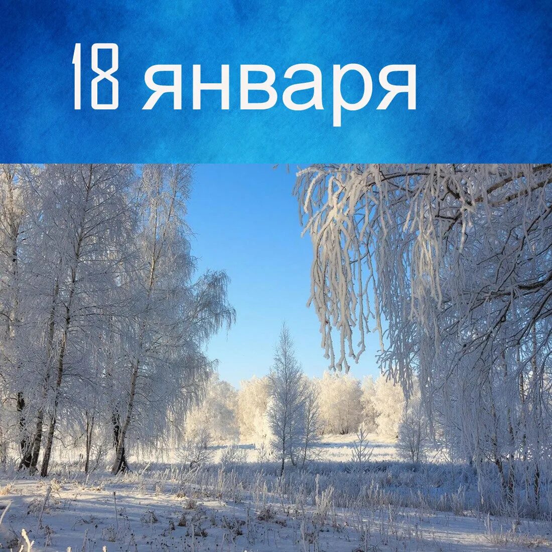 Луна январь 24