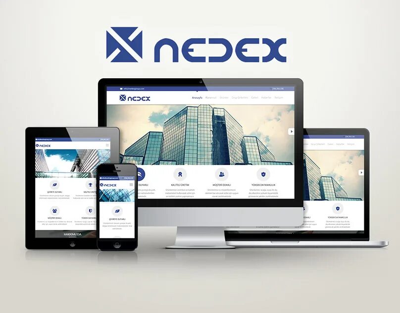 Nedex logo. Nedex. Nedex acessua. Nedex logo PNG. Sites group