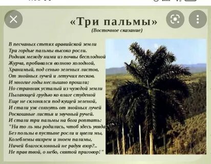 Пальма какой жанр