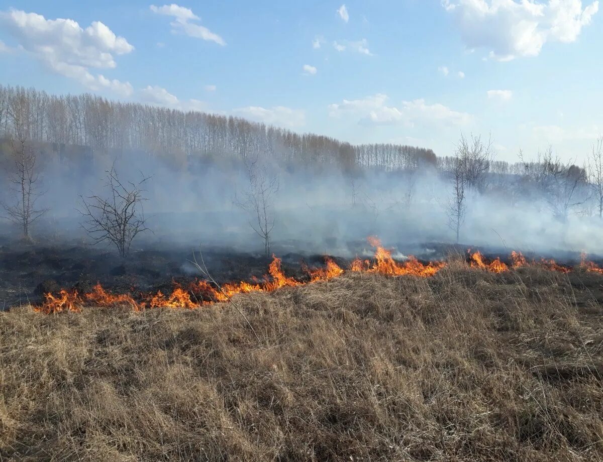 Пожар осенью. Пожар весной. Пожар на природе. Пожар травы.