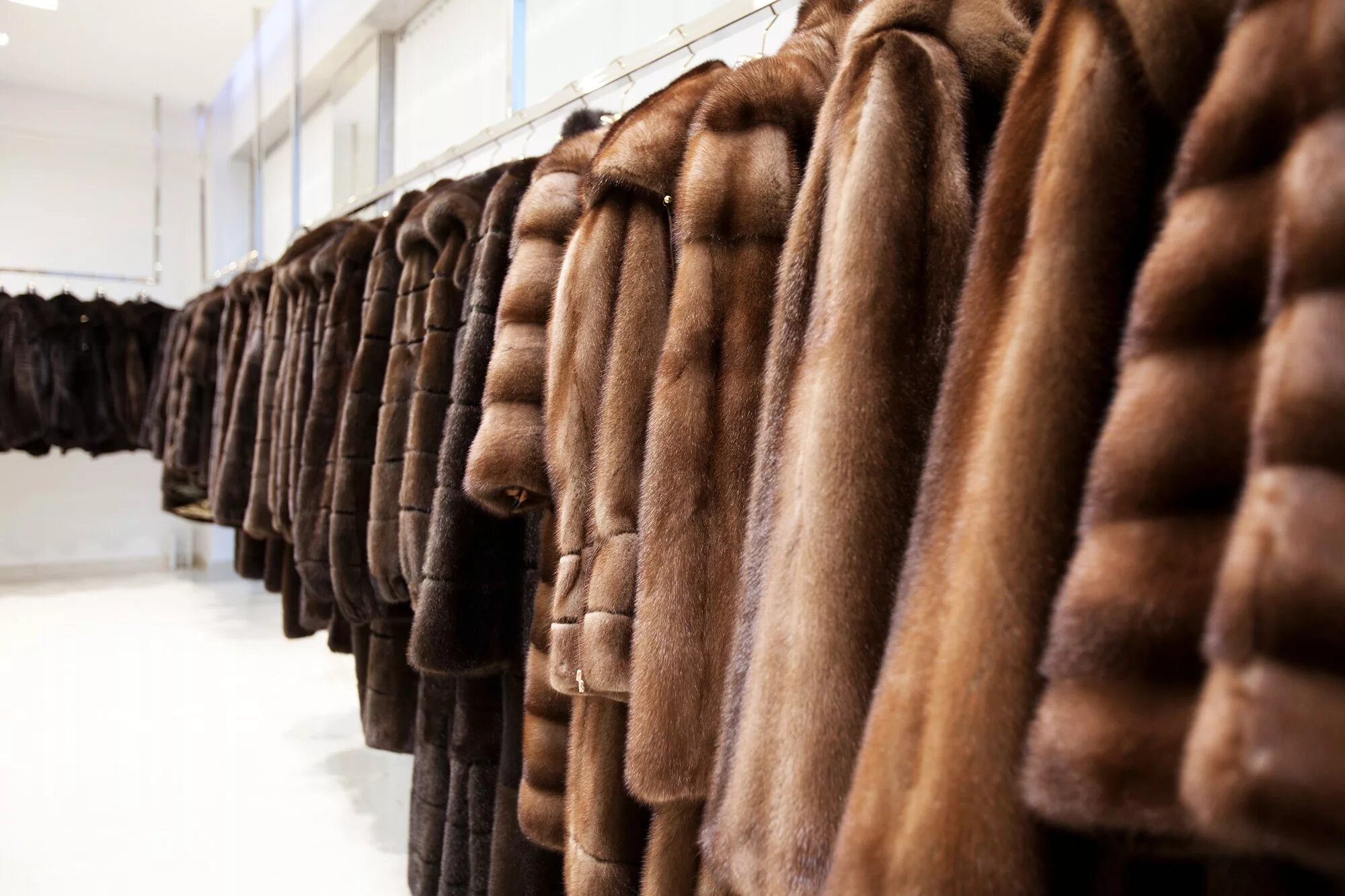 Нутрия с песцом. Шубы минусинск. Шубы минусинск. Искусственный мех под норку высокого качества. Шуба из мутона с песцом белая.