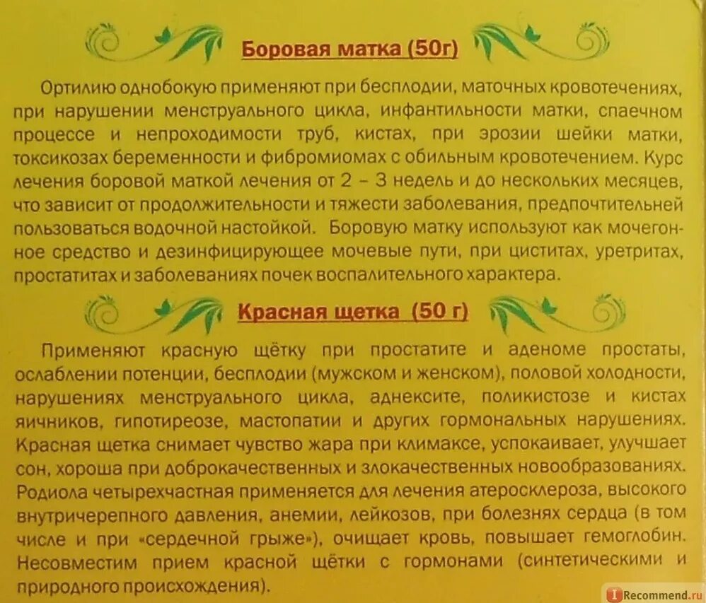Можно ли пить при эндометриозе. Боровая матка и красная щетка. боровая матка и красная щетка как принимать. боровая маска при эндометриозе. как пить боровую матку.