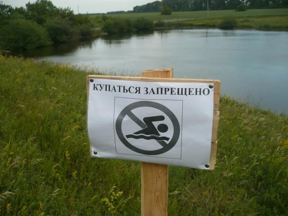 Купаться запрещено картинки