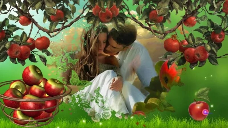 Человек запоминает каждую яблоню каждую стежку