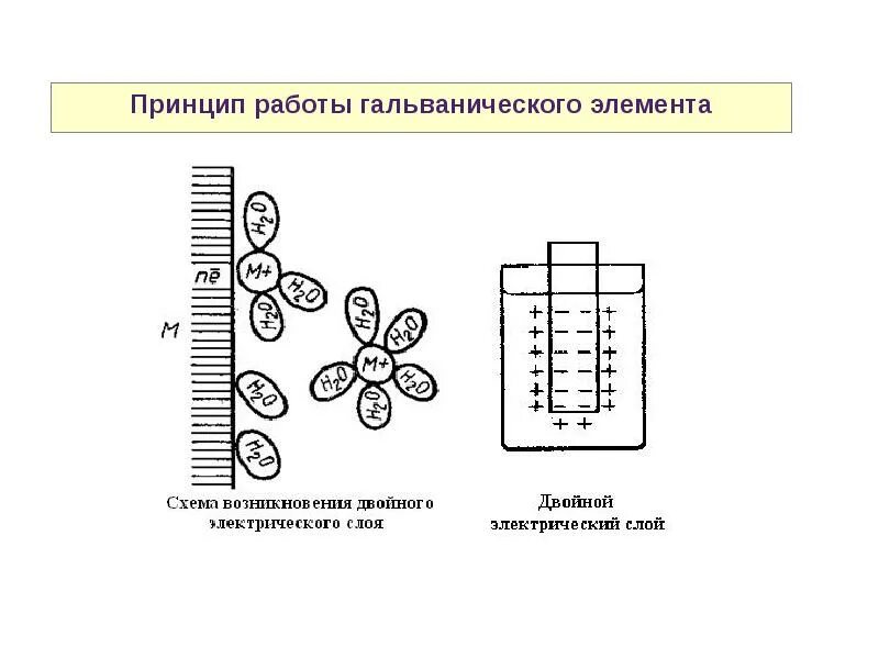 Принцип работы гальванического. Возникновение двойного электрического слоя. принцип гальванического элемента. принцип действия гальванического элемента. принцип работы гальванического элемента.