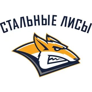 Хк металлург steel fox