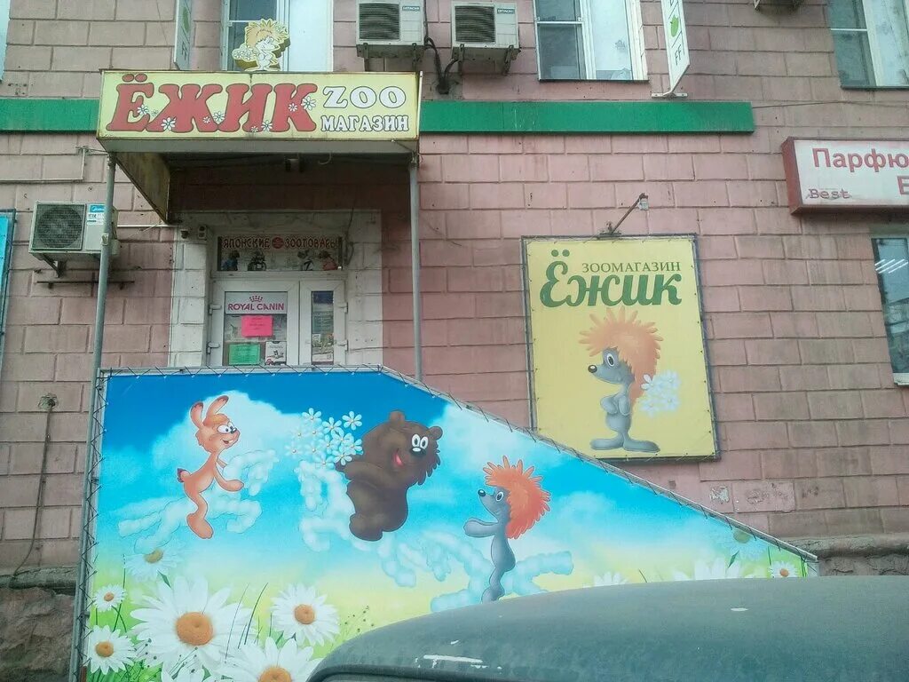 зоомагазины алматы. американский ежик. зоомагазин ежик. еж в зоомагазине. ежик (мини).