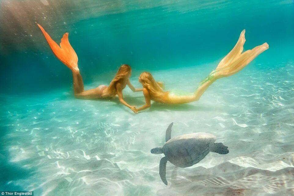 настоящие русалки живые в море. русалка настоящая. русалка плывет. ханна мермейд. русалка.