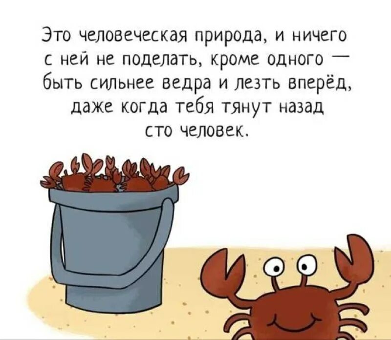Эффект ведра с крабами. Ведро с крабами притча. Ведерко с крабами. Эффект ведра с крабами в психологии. Ведро с крабами психология.