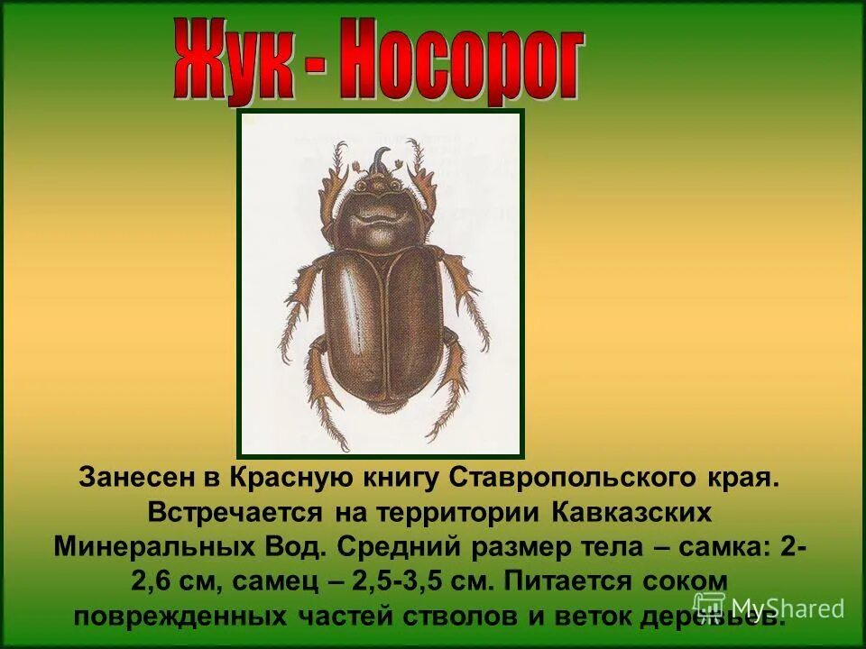 красная книга ставропольского края обложка. красная книга нашего края. красная книга животные ставропольского. красная книга животных ставропольского края. красная книга ставропольского края животные обложка.