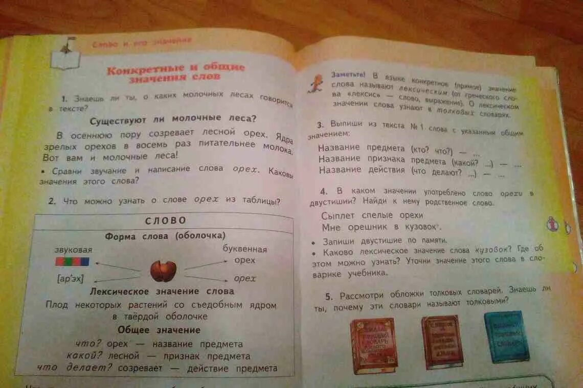 Лексическое значение слова форма. Предложение со словом орех. Родственные слова к слову орех. Лексическое значение слова орех. Орех значение и звучание.