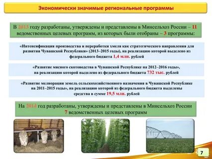 Оценка развития сельского хозяйства